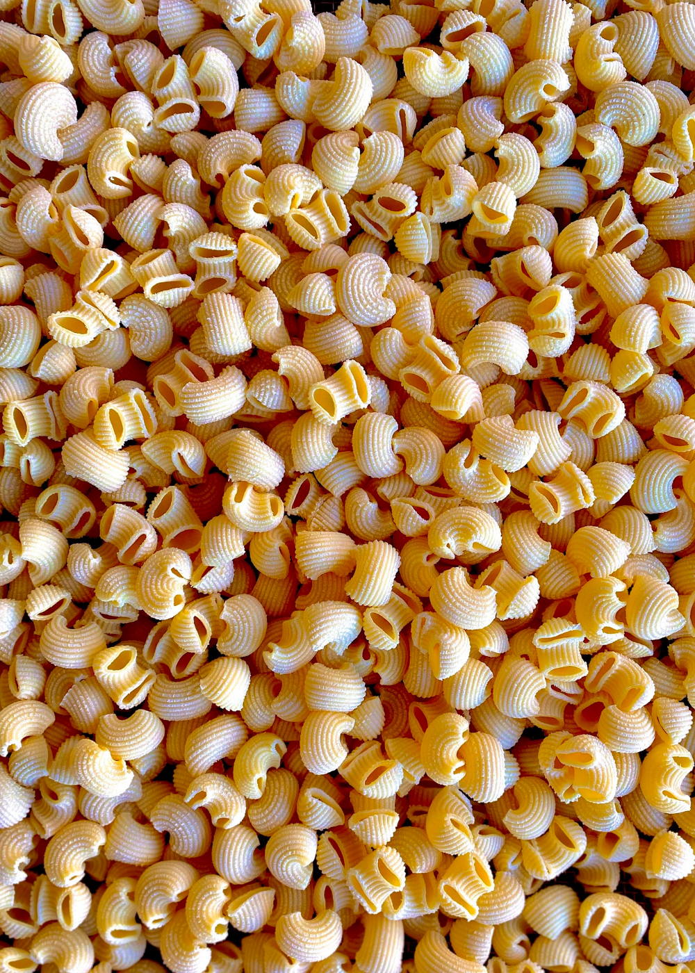 Gluten Free Fresh Pasta - 12oz